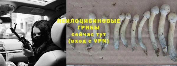 каннабис Павлово