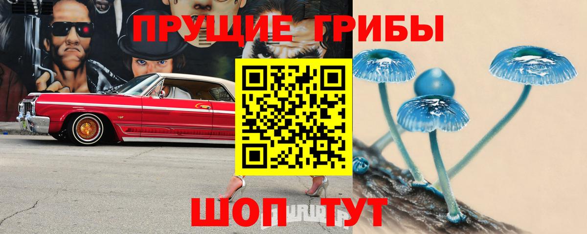 Тавда  Псилоцибиновые грибы Magic Shrooms  Вход с VPN 