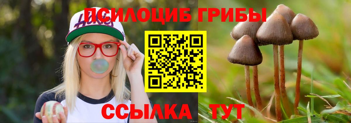 Галлюциногенные грибы Magic Shrooms Тавда
